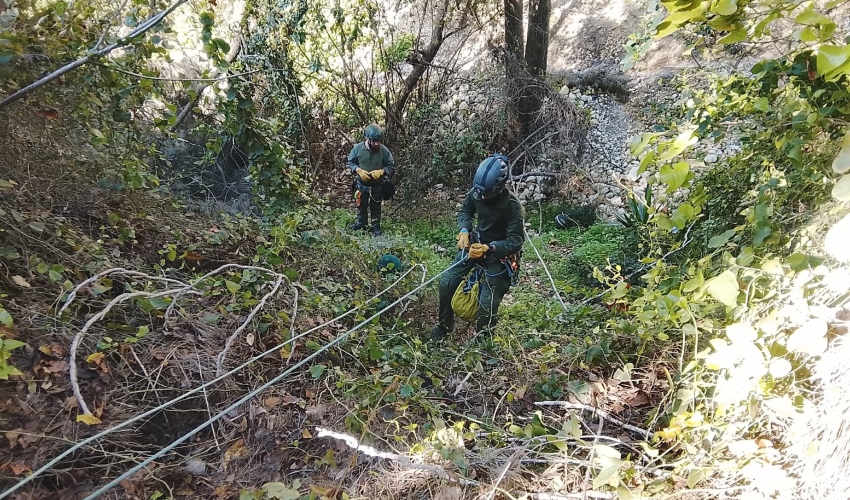 החיפושים אחר הנעדרת (צילום: דוברות יכ"ל)