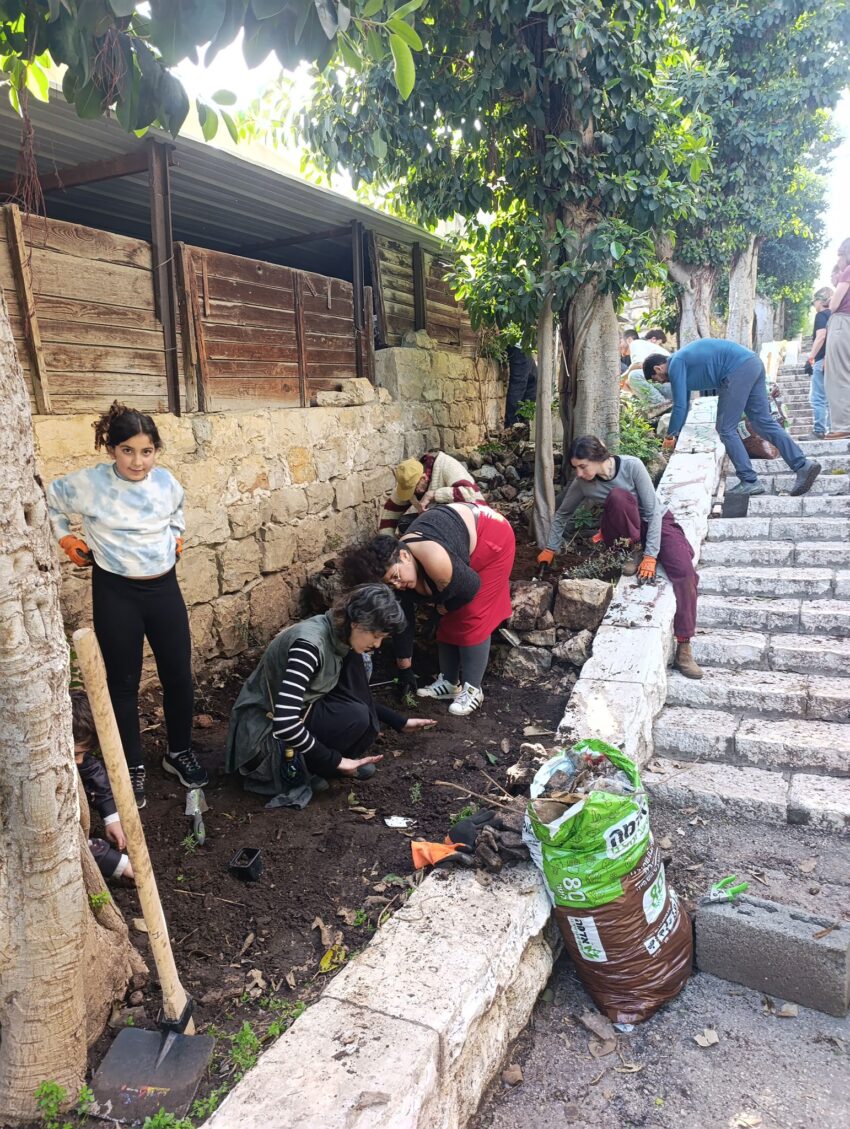 הפעילות ההתנדבותית במדרגות הנביאים (צילום: דוברות עיריית חיפה)