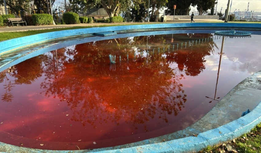 הבריכה בגן הזיכרון בהדר (צילום: דוברות המשטרה)