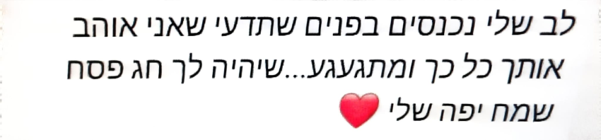 הודעה ששלח החשוד לבת זוגו