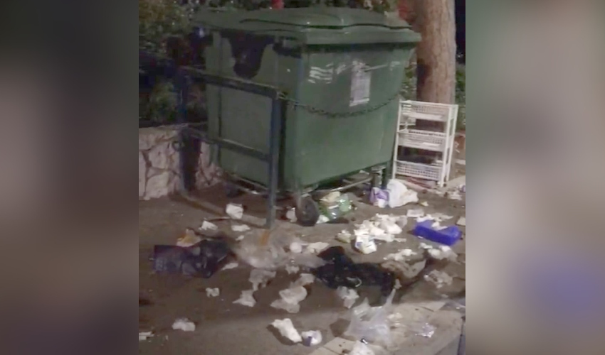 אשפה פזורה סביב פח ברחוב שדרות הנשיא בחיפה (צילום: פרטי)