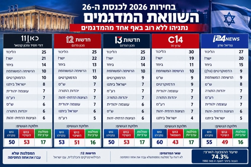 המדגמים
